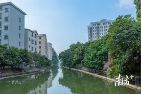 向海逐绿！东莞滨海湾加速绘就水生态新蓝图图片