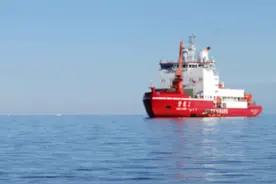 镜观中国·新华社国内新闻照片一周精选丨小企鹅遥望“雪龙2”号（1）图片