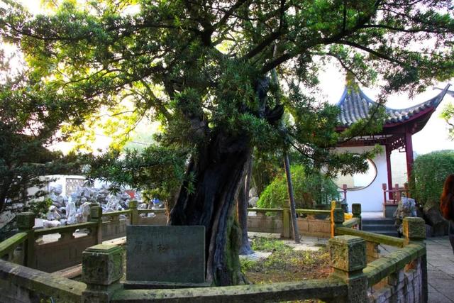 游玩、体验、美食、购物…一站式玩转→