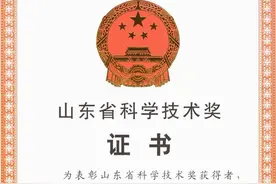 突破超高清关键技术，海信芯片斩获山东省技术发明奖一等奖图片