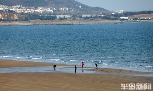 冬日暖阳映海滨