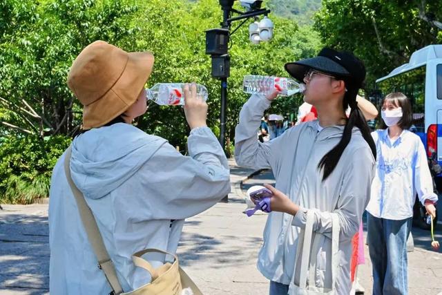饮料空瓶先别扔！能换荷花和莲蓬……