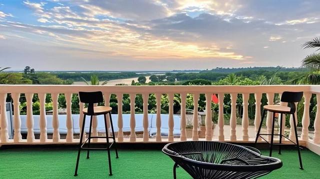 美兰观鸟 | 白领翡翠仍在北港岛，状态绝佳～