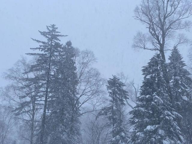 等一场雪，念一座城！敦化冬景如画