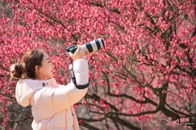 踏青赏花 乐享美好春光图片