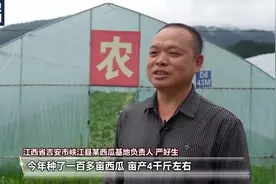 吃不过来了！这些时令水果陆续甜蜜上市图片