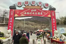 明天就有，7点开逛！西杨坨大集来啦图片