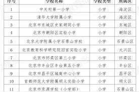 北京发布首个教育领域人工智能应用指南图片