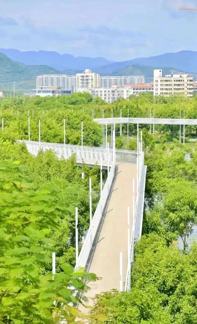 工作基础，休假就不基础？三亚的“慢”刚刚好