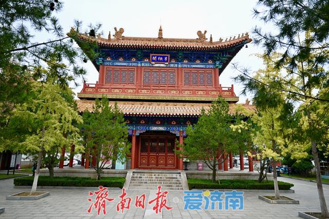 一年四季 泉在济南丨黄绿交织，邂逅文庙别样秋韵
