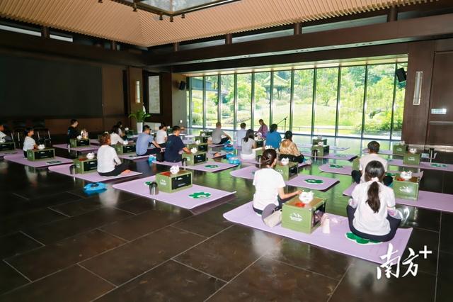 生态康养点亮未来！“88云溪健康乐游节”启幕