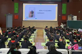 乐师附小：携手共进，科学交流绽放光彩图片