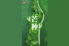 仲夏时节正式开始！愿你“芒”有所获，“种”有所得！图片