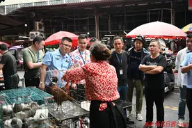 剑指违规交易食用野生动物行为 怀化市开展“清风行动2024”联合行动图片