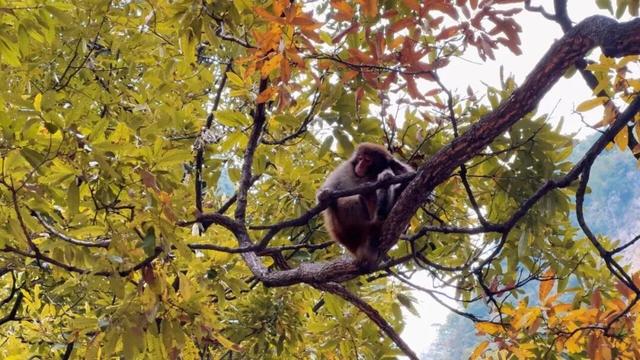抓住秋天的尾巴，去“北方小桂林”选出你最爱的颜色~