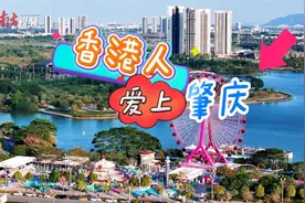 “港人北上”安居肇庆，蕴含银发经济新密码图片
