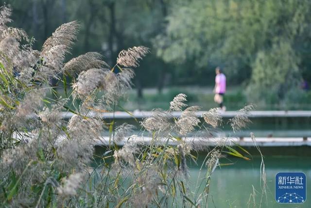 秋声渐杳 斑斓成诗