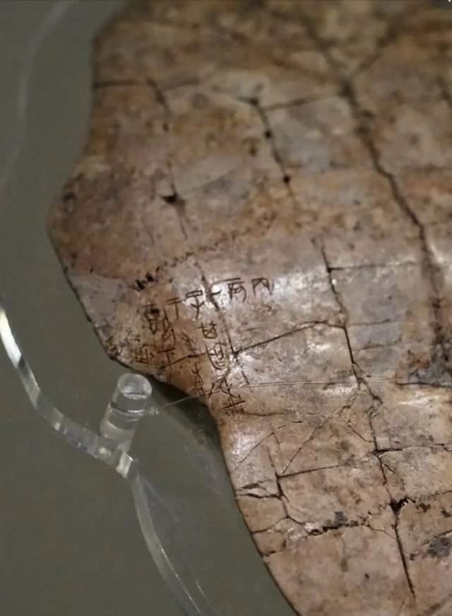 开学第一课！来河南，这样上！