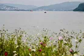 长江重庆涪陵段现平湖美景图片