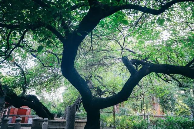 这座东南沿海城市不仅是世遗之城，还有13个“全国之最”！