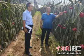 中牟县选派乡村指导员赋能乡村产业发展图片