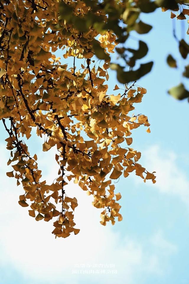 当代人需要的情绪价值，镇江给你！