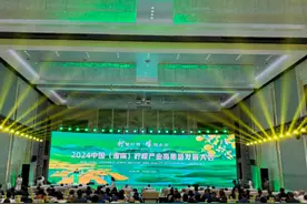 小柠檬促大产业，2024中国（潼南）柠檬产业高质量发展大会在渝举行图片