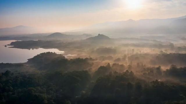藏不住了！看一眼就“沦陷”！