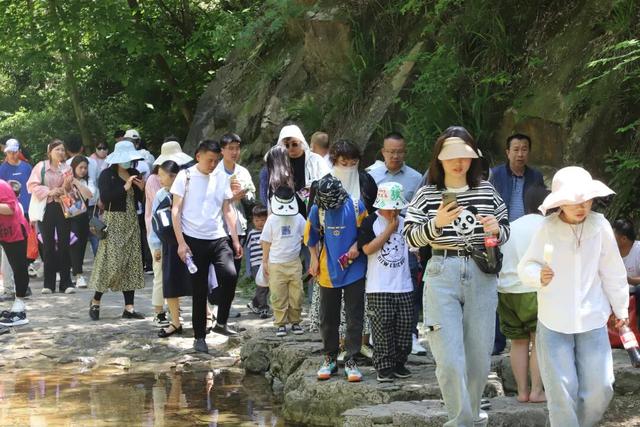 人气攀升！信阳文旅市场持续升温