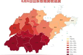 山东6月6日麦收“地图”来了！全省已收超四成图片