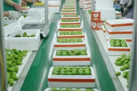 拼多多“新质商家扶持计划”首个11.11：有商家新品销量环比增长12倍图片