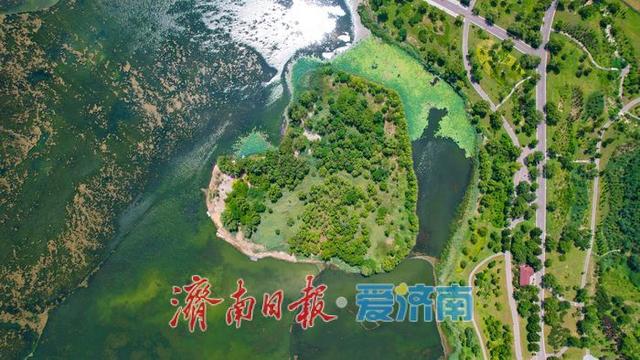 暑气未消立秋至  华山湖绿意盎然生机无限