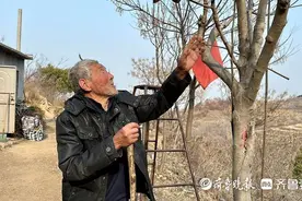 莱阳九旬老人李世富：三十二年植绿一座山图片