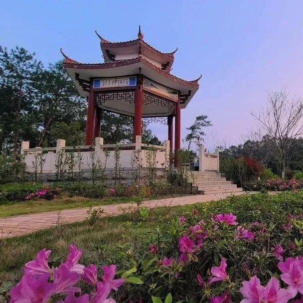 要开学啦！这些三明高校隐藏美景，还不来吗？