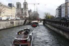 迎接奥运，巴黎酒店加大力度防治臭虫图片