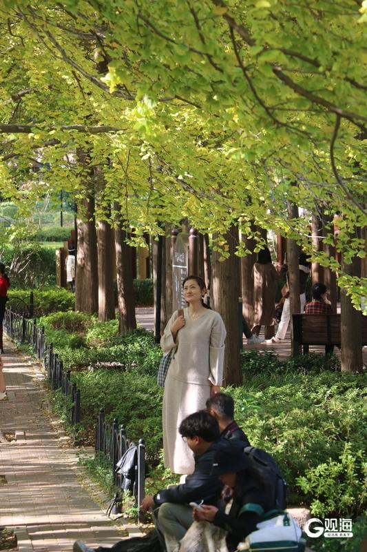 缓扫一片秋，赴青岛的五彩之约