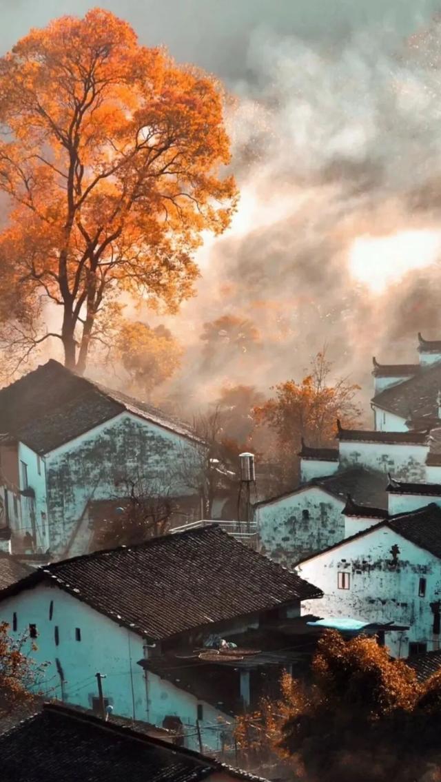 上饶绝美“枫景”加载完毕，前往石城锁定你的赏枫C位！