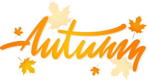 "我还要再来！"这个项目，98%的人去了都不想回家