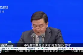新疆：2023年工业硅、多晶硅产量分别增长27.3%和26.8%视频封面