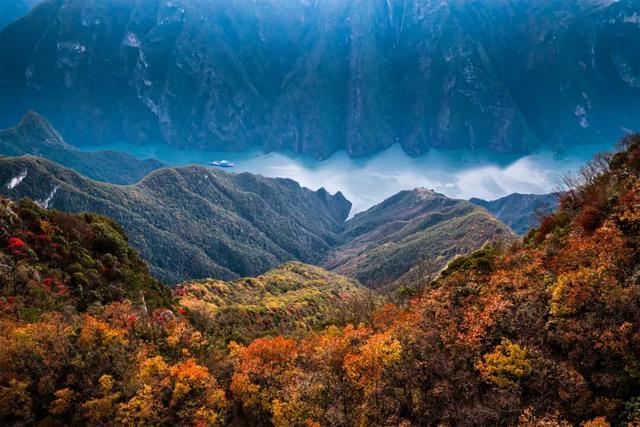 巫峡红透时，才懂中国秋天的壮阔