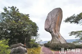 异石坐地生根 奇谈古今共闻 谁解泉郡“奇石情”图片