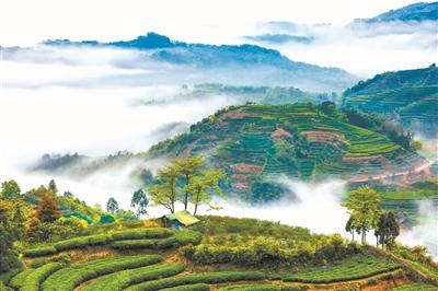 “柘”里风景独好