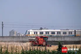 错过等一年：麦田丰收季 收割机和地铁同框｜图集图片
