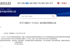 “21国债14”突然大跌有何影响？图片