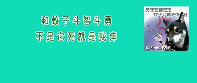 防蚊灭蚊、主动监测，做自己健康的第一责任人！
