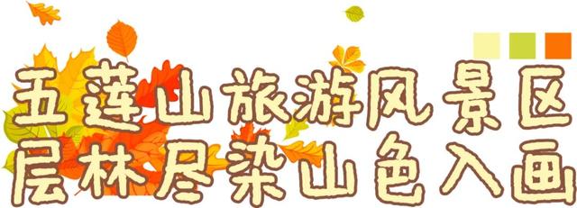 日照色彩派对开启！“美拉德”风景正当时！