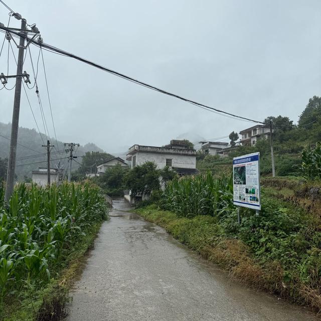 “接警不出警”被立案审查，离婚冷静期毒杀儿女案再生波澜