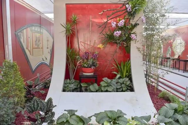 家庭园艺嘉年华｜北京兰花文化嘉年华将于明日启幕