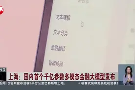 上海：国内首个千亿参数多模态金融大模型发布视频封面
