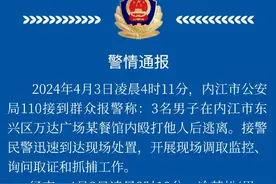 四川警方：在餐馆搭讪被拒后殴打女性，一男子被刑事拘留图片